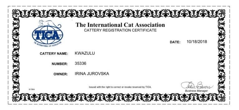 TICA cattery registration certificate for Kwazulu (No. 35336), issued 18 Oct 2018